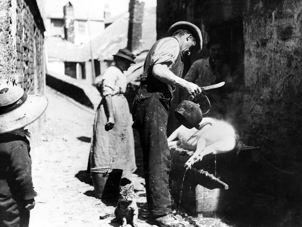 William Stevens Scalding the Pig nær Norway Lane, St Ives, ca. 1880-99 af English Photographer