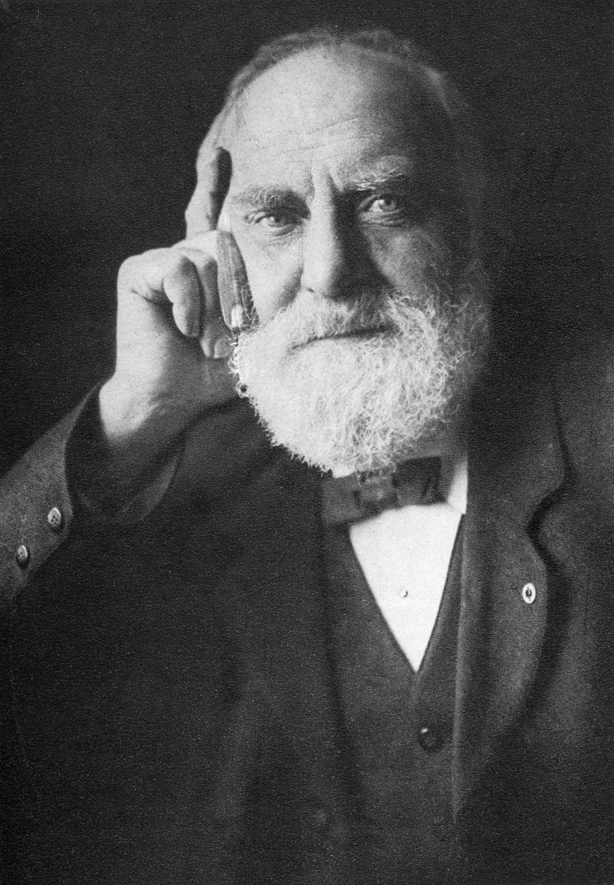 William Thomas Stead (1849-1912) af English Photographer
