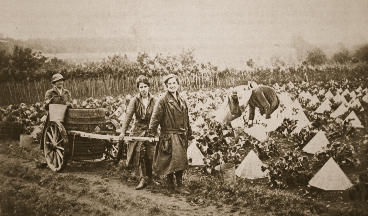 Kvinder på landet: nogle interessante scener i Evesham, fra The Illustrated War News, 28. juni 1916 (sepia-foto) af English Photographer