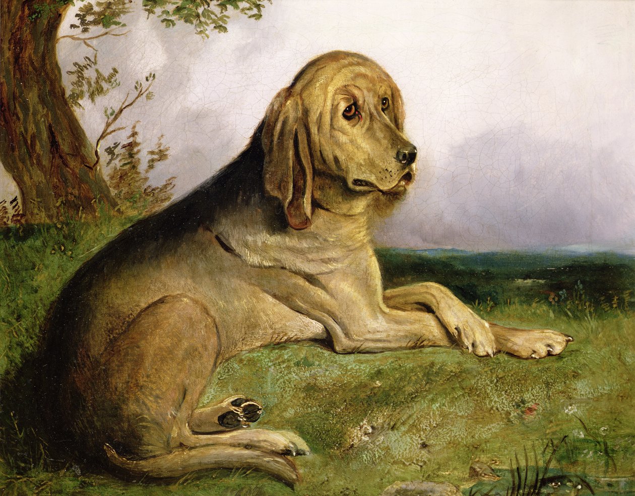 En blodhund i et landskab (olie) af English School