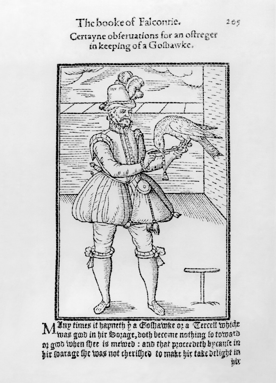 En falkoner med sin gåhøg, illustration fra 