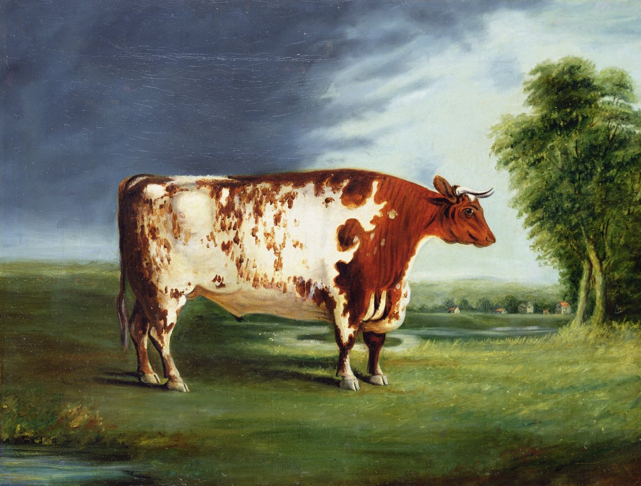 A Prize Bull, Possibly a Durham Shorthorn, c.1820 af English School