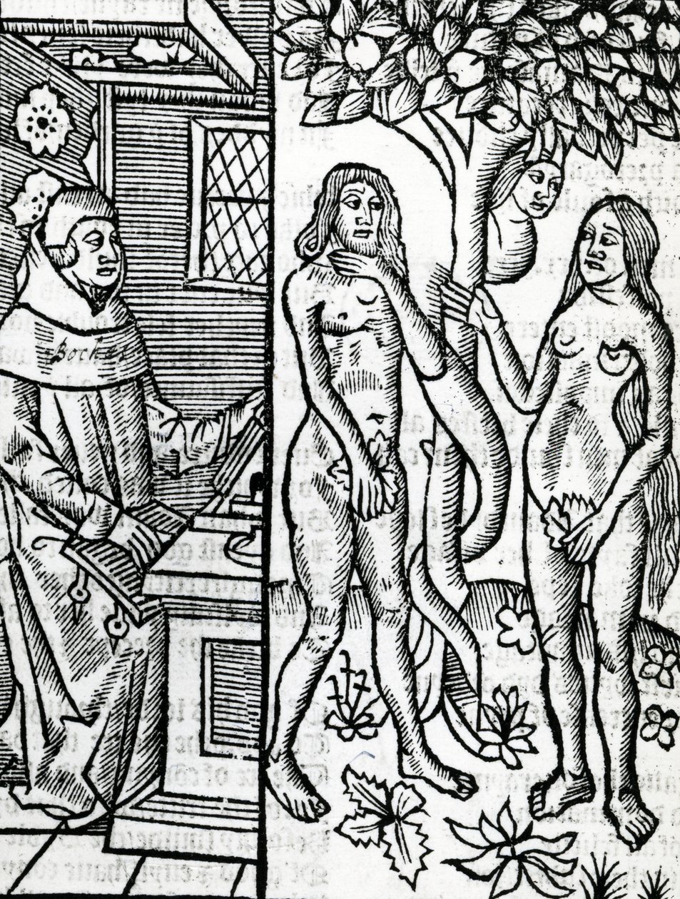 Adam og Eva, illustration fra John Lydgates oversættelse af Boccaccios 