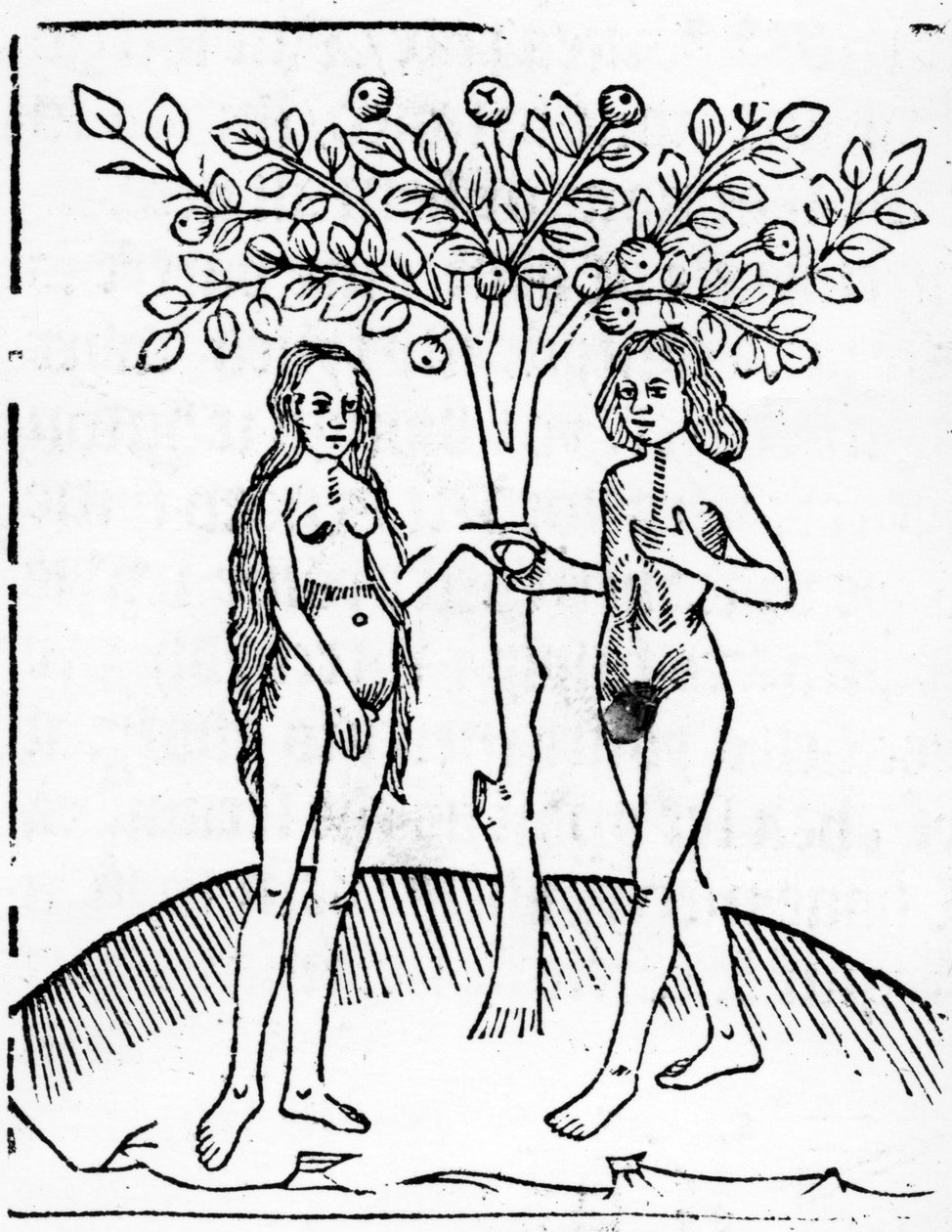 Adam og Eva, illustration fra 