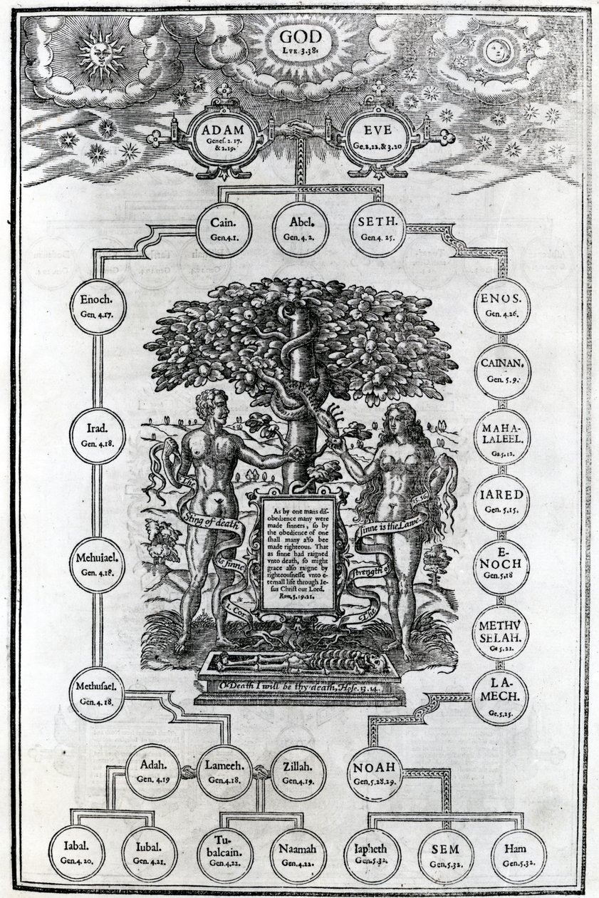 Adam og Evas stamtræ, 1556 af English School