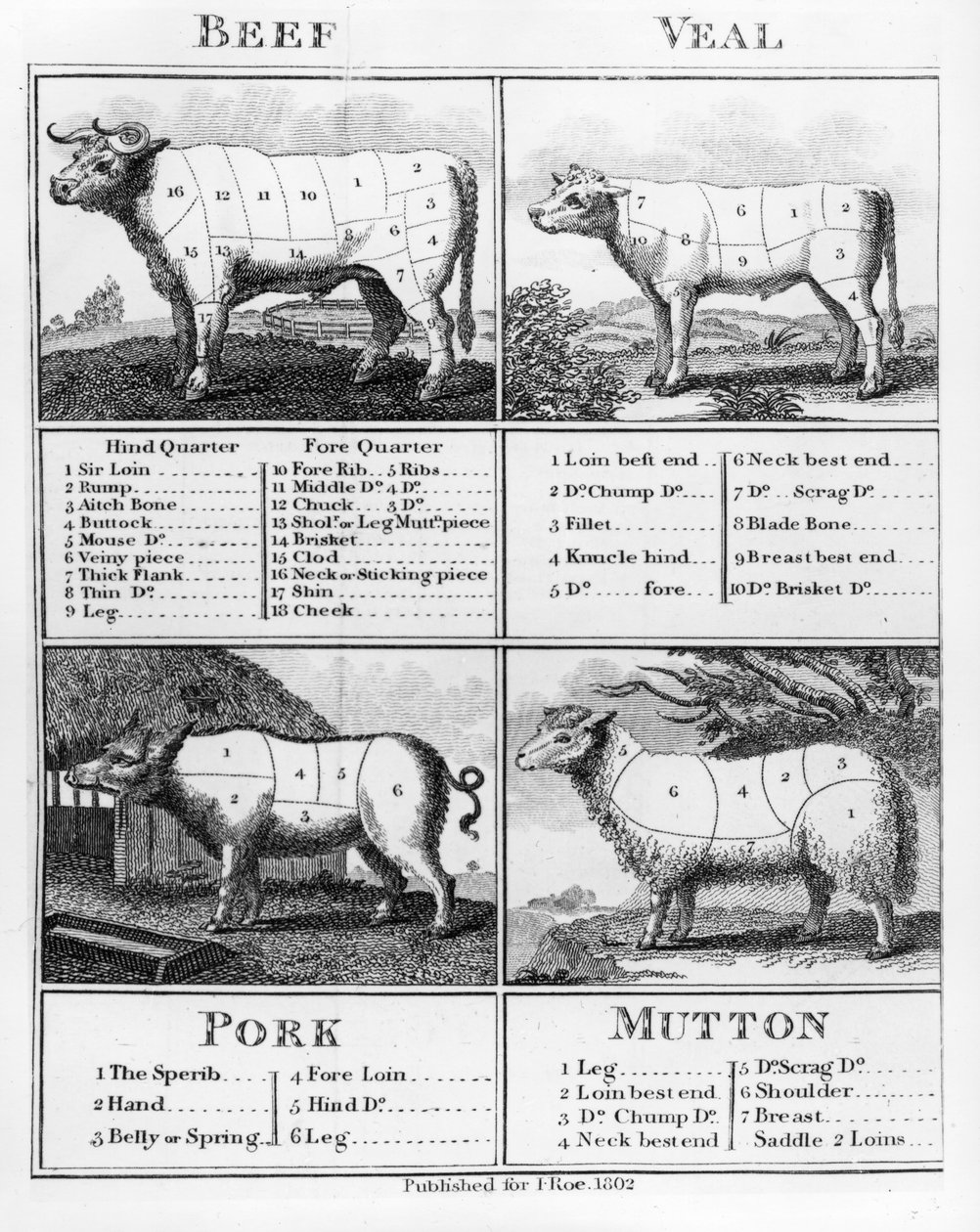 Udskæringer af okse-, kalve-, svine- og fårekød, 1802 af English School
