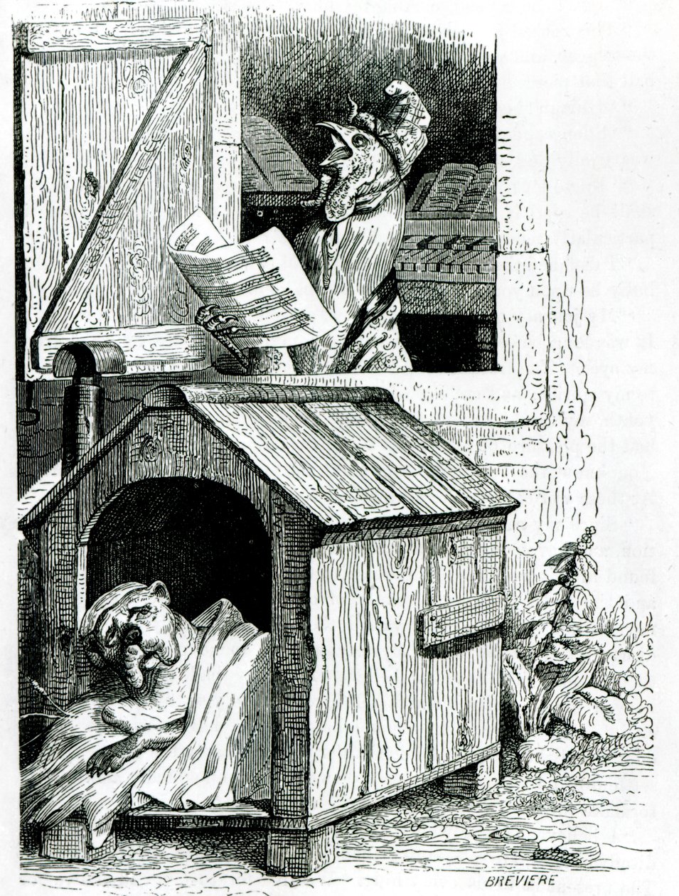 Hund sover og hane synger, fra J. Thomsons "Public and Private Life of Animals af English School
