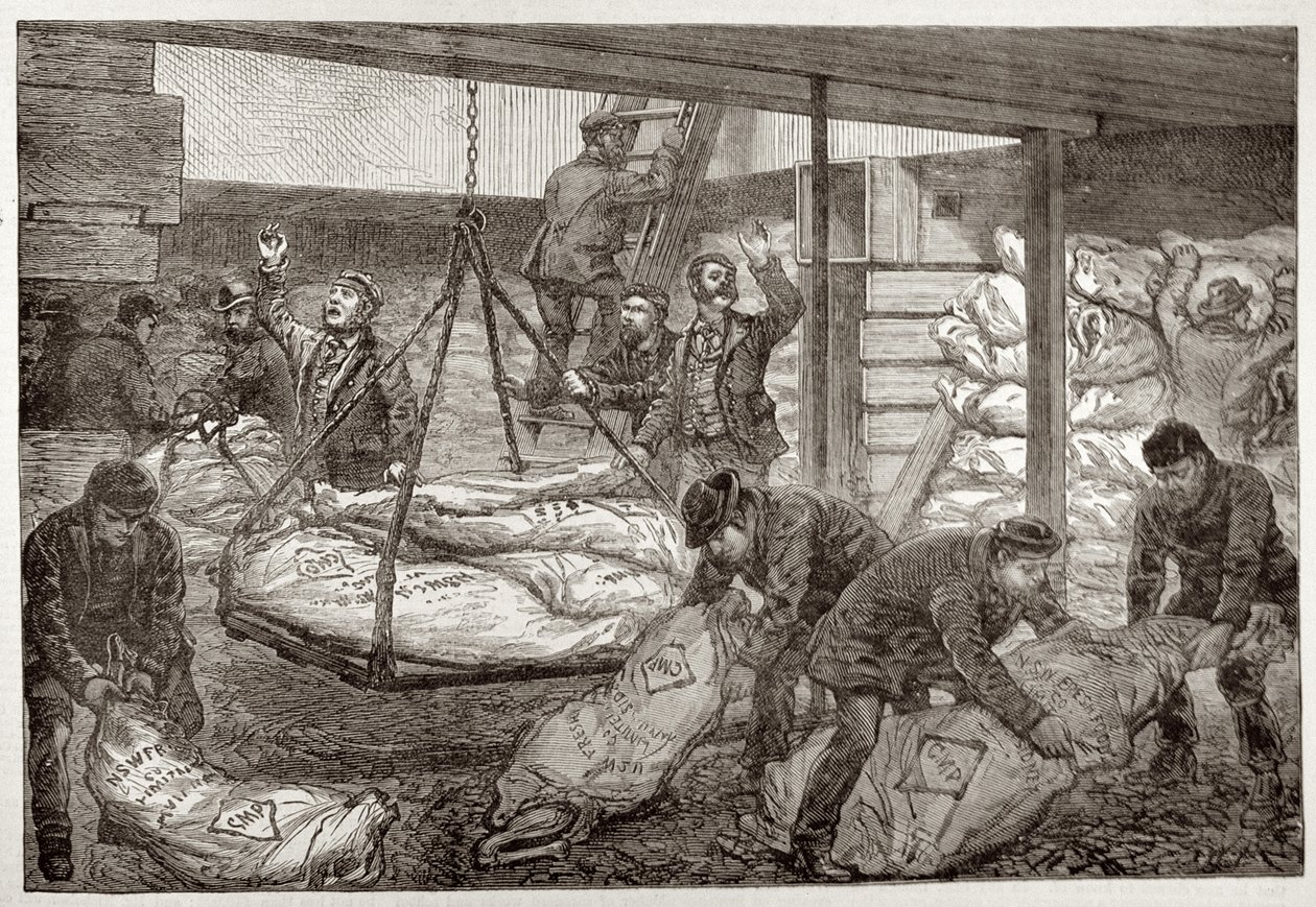 Lander australsk frosset kød fra Sydney i South West India Dock, Millwall, fra 