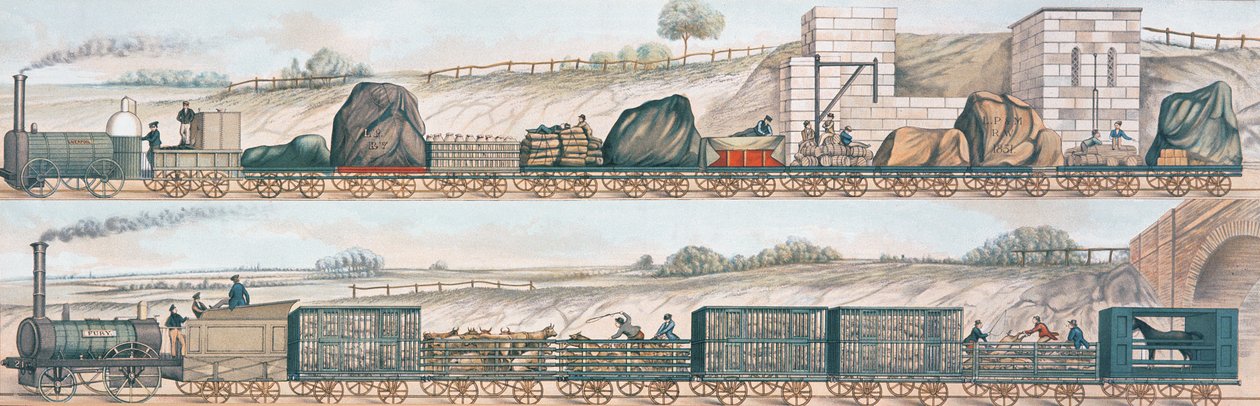Liverpool og Manchester Railway: Fragt og husdyr af English School