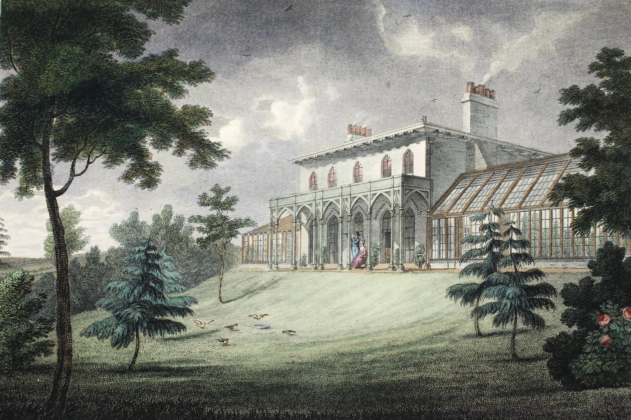 Mount Ararat, Wimbledon, pub. c. 1828 (håndfarvet gravering) af English School