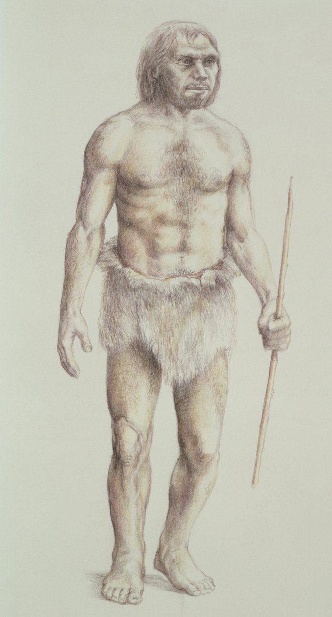 Neandertaler mand af English School