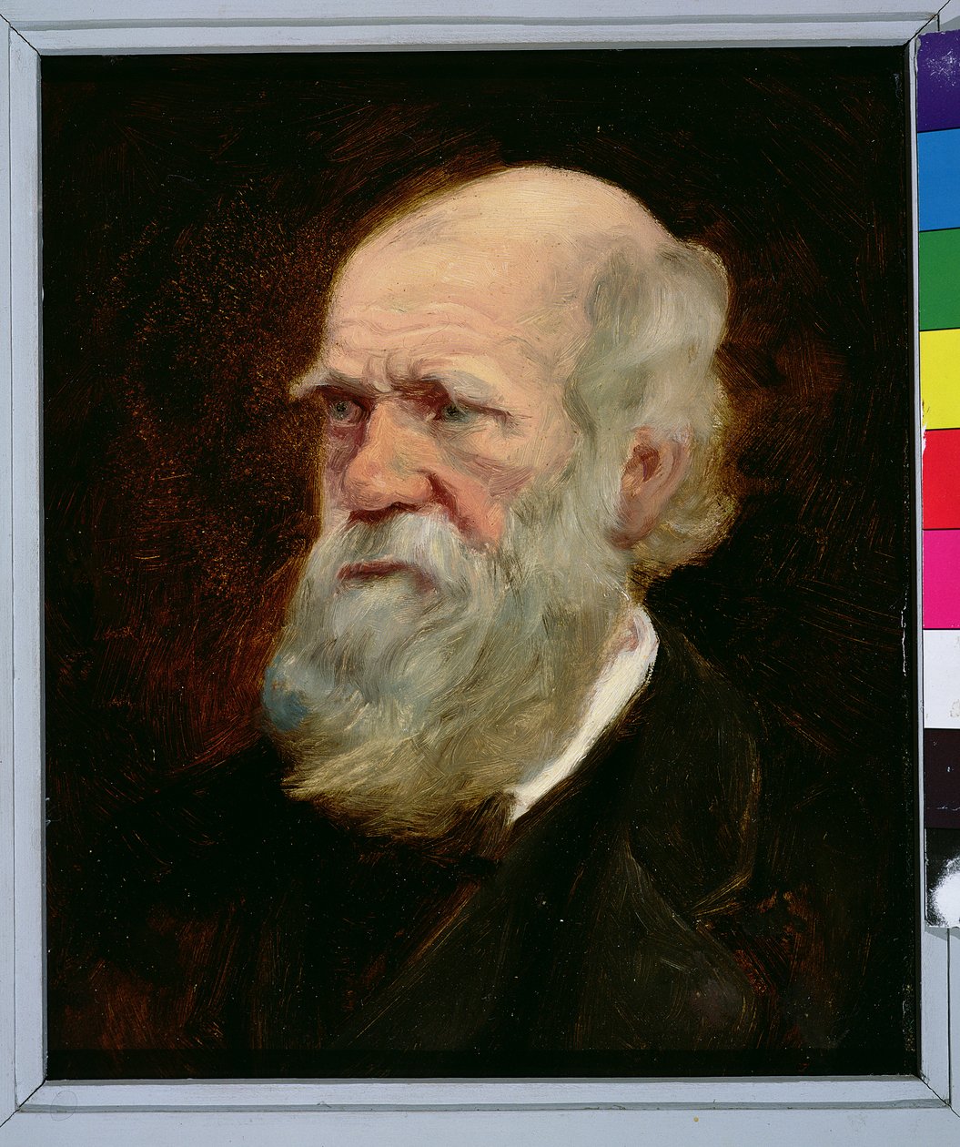Portræt af Charles Robert Darwin (1809-82), engelsk naturforsker af English School