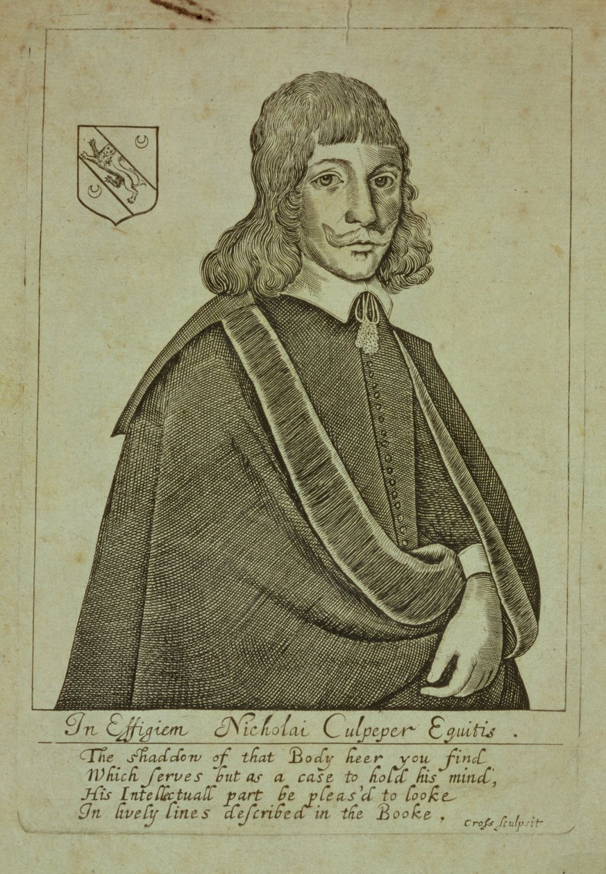 Portræt af Nicholas Culpeper (1616-54) fra A Physical Directory, eller en oversættelse af London Dispensatory, indgraveret af Thomas Cross, 1649 af English School