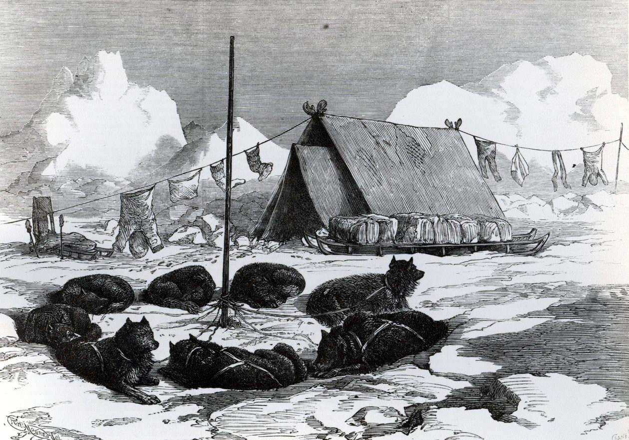 Slæderejser: Metode til fastgørelse af hunde ved camping, 1876 af English School