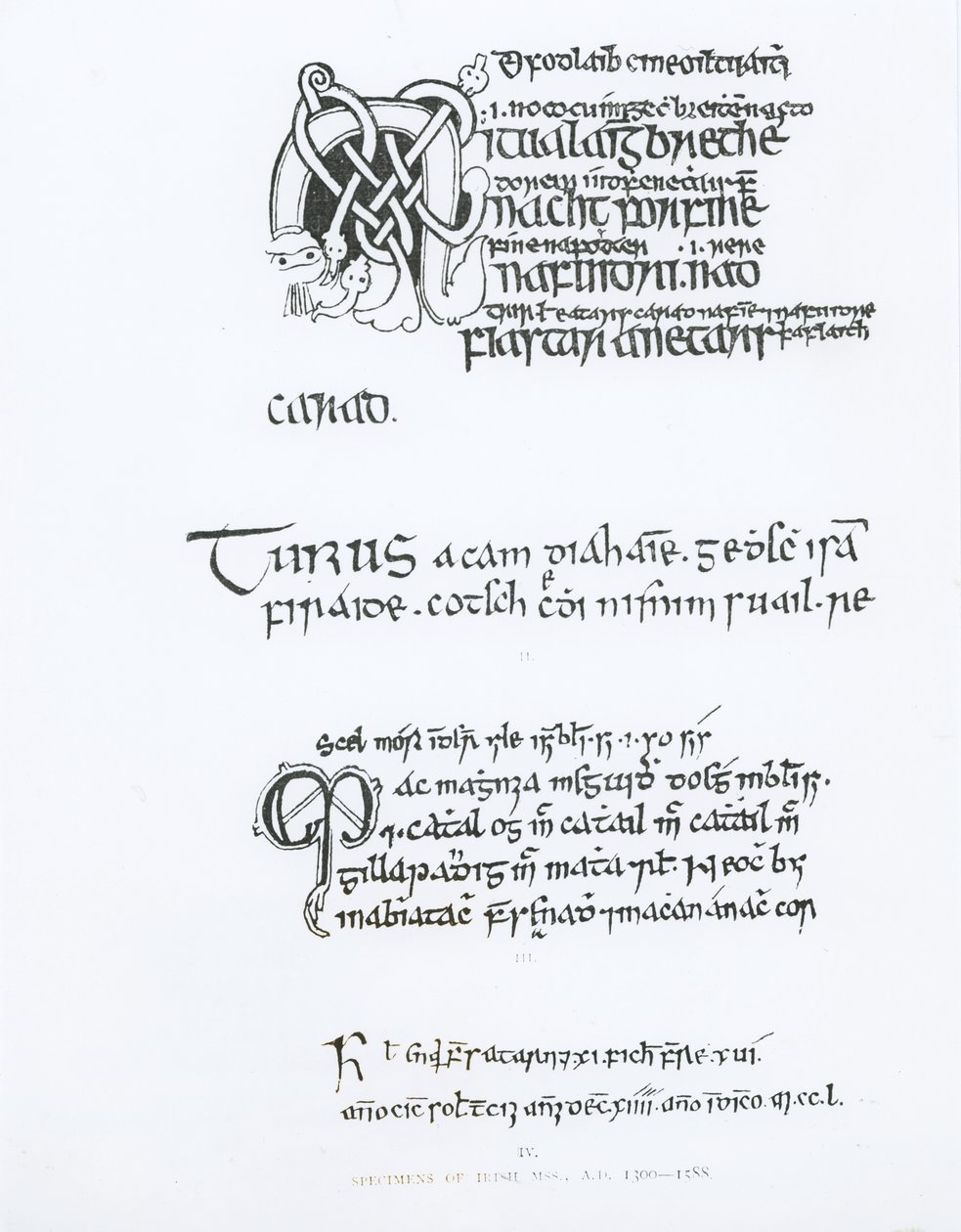 Eksemplarer af irske manuskripter, ca. 1300-1588 af English School