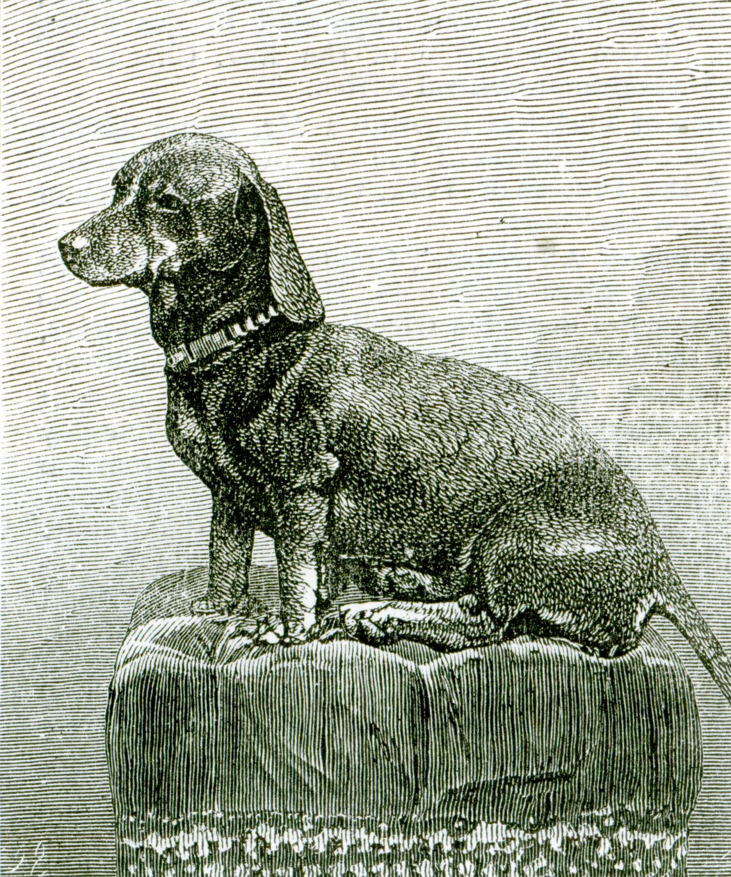The Dog Jacob, fra 