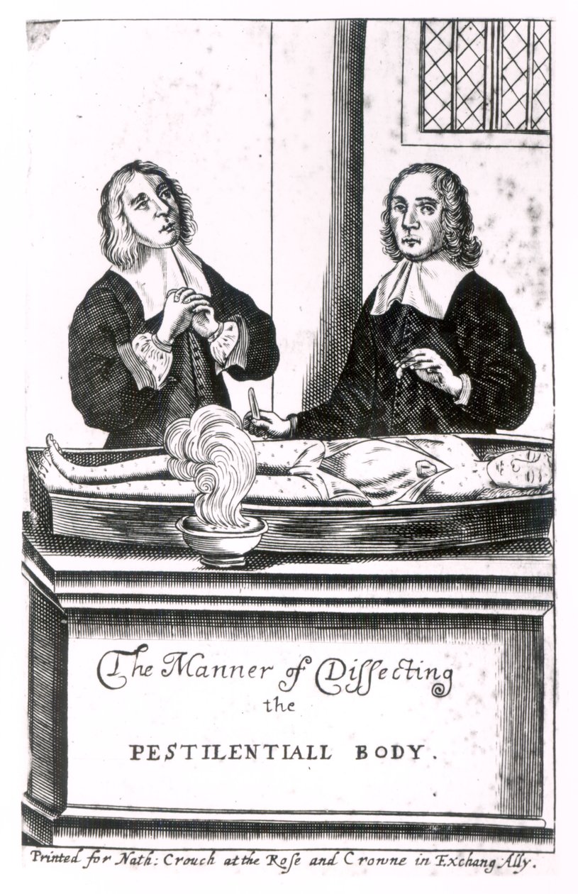 Måden at dissekere den pestilentielle krop af English School