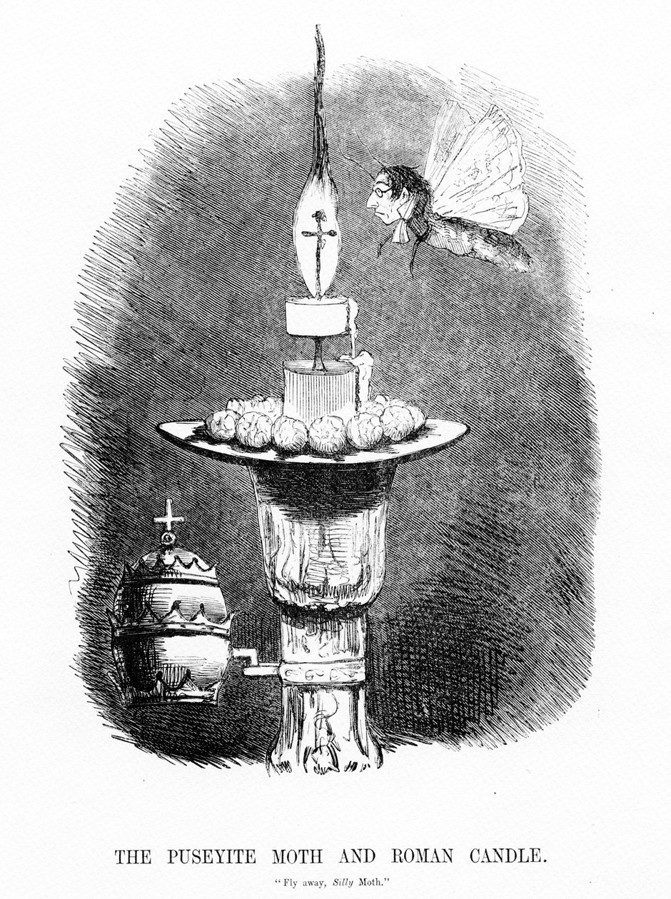 Puseyite Moth and the Roman Candle, illustration fra 