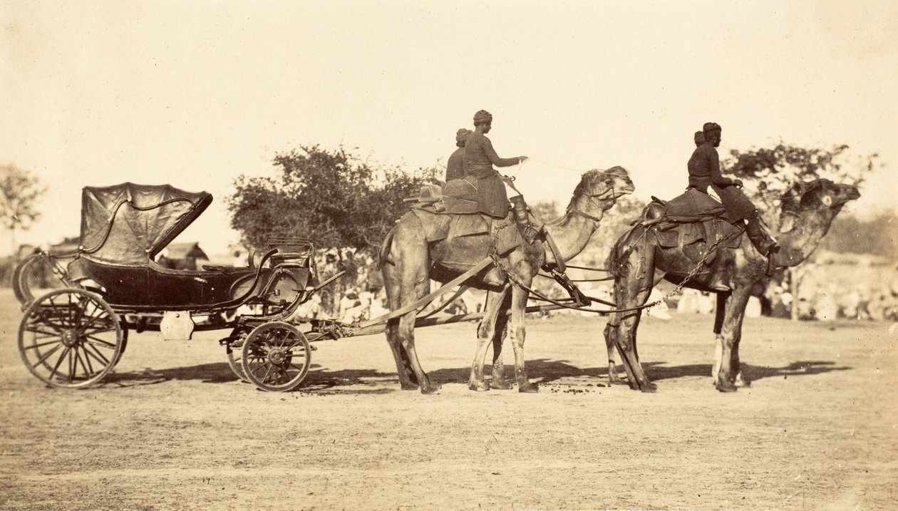 Kamelvogn, ca. 1860 (fotogravure) af English Photographer