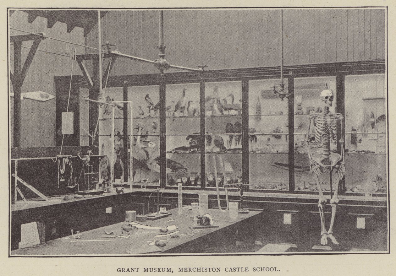 Grant Museum, Merchiston Castle School (gravering) af English Photographer