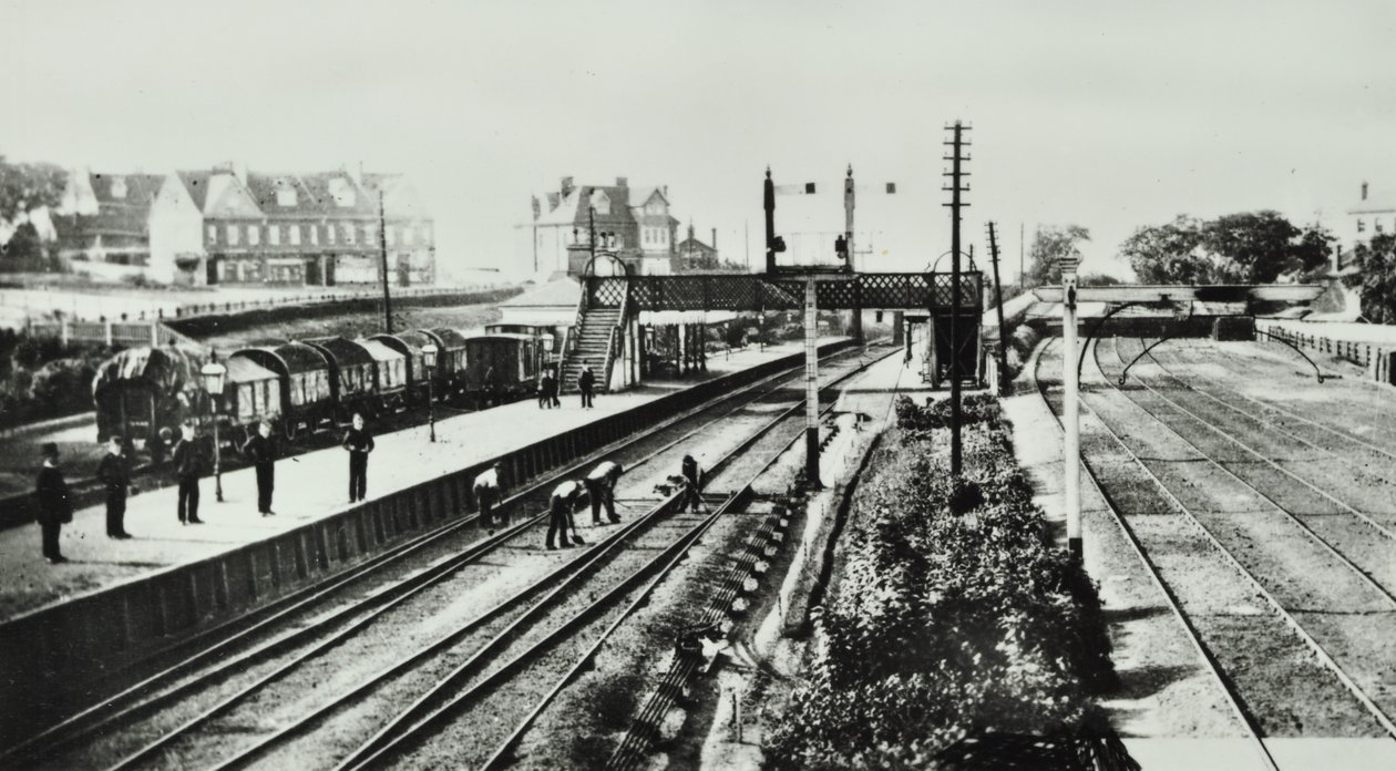 Grove Park Station: eksteriør og perroner, 1888 af English Photographer