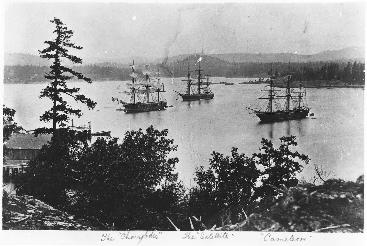 HMS Charybdis, HMS Satellite og HMS Cameleon på Esquimalt Royal Navy Dockyard, British Columbia, ca. 1880