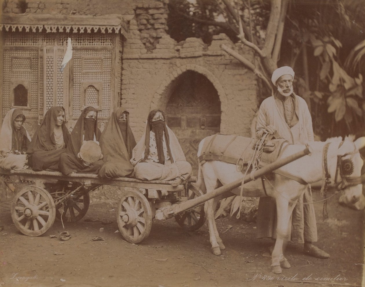 Hestetrukne vogn, Kairo, 1893 af English Photographer