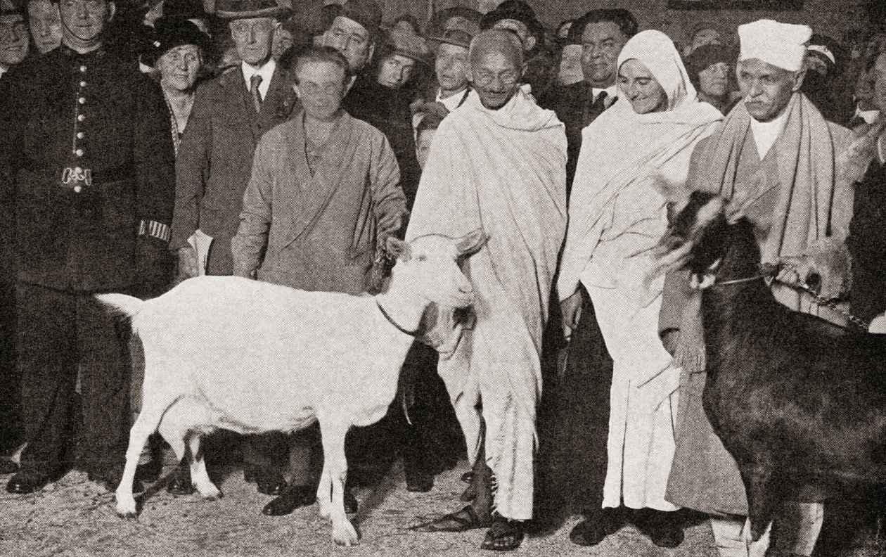 Mahatma Gandhi ankommer til London, England i 1931 med sin discipel, Madeleine Slade, og hans to geder, fra The Story of Twenty Five Years, udgivet 1935 af English Photographer