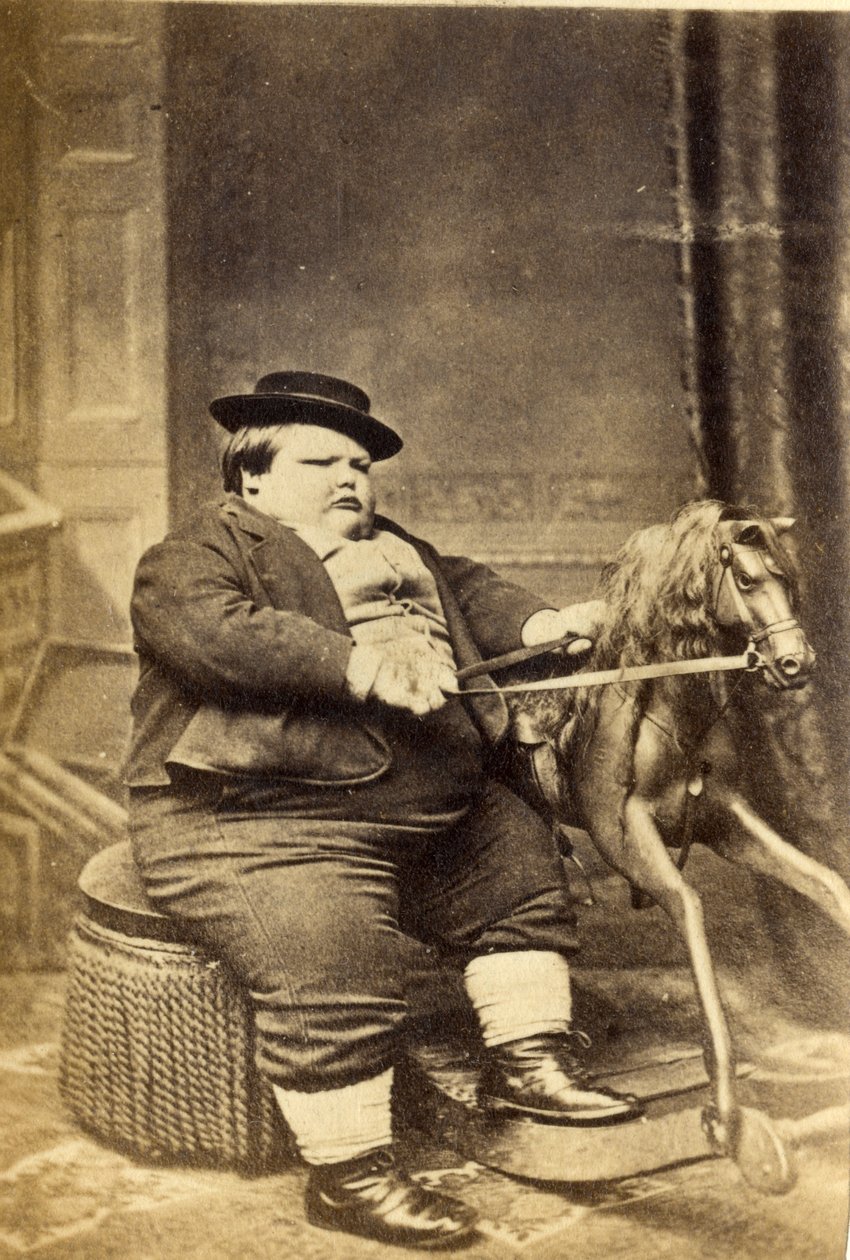 Mester Richard Beanham ved sin gyngehest, 1870
