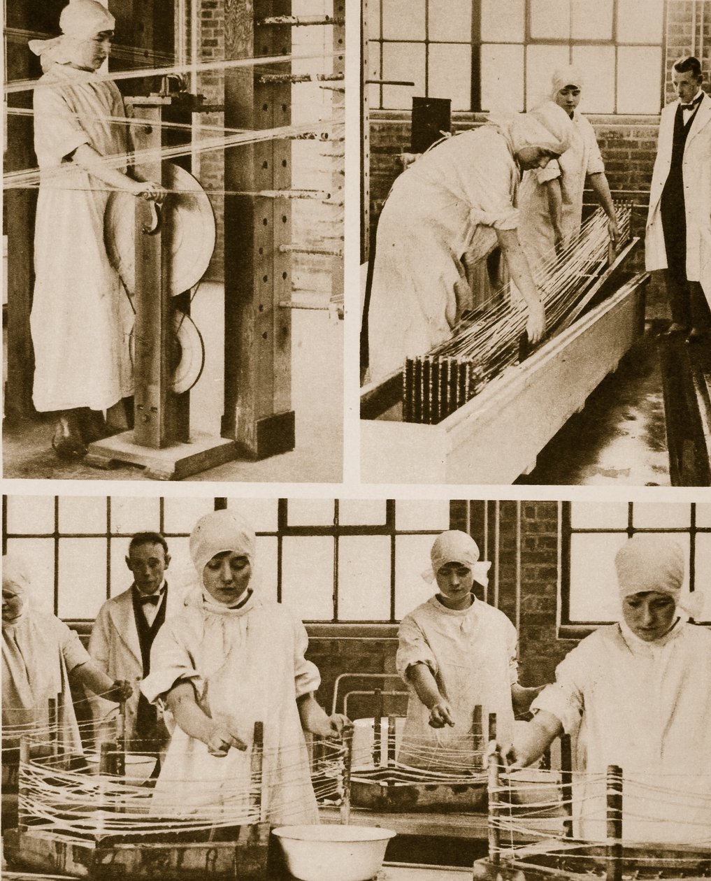 Forberedelse af Cat-Gut på London Hospitals egen fabrik (sepia foto) af English Photographer