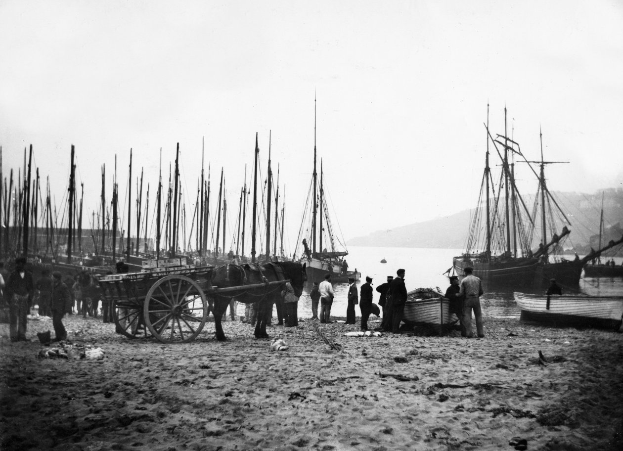 St Ives havn ser mod Carbis Bay, ca. 1880-99 af English Photographer