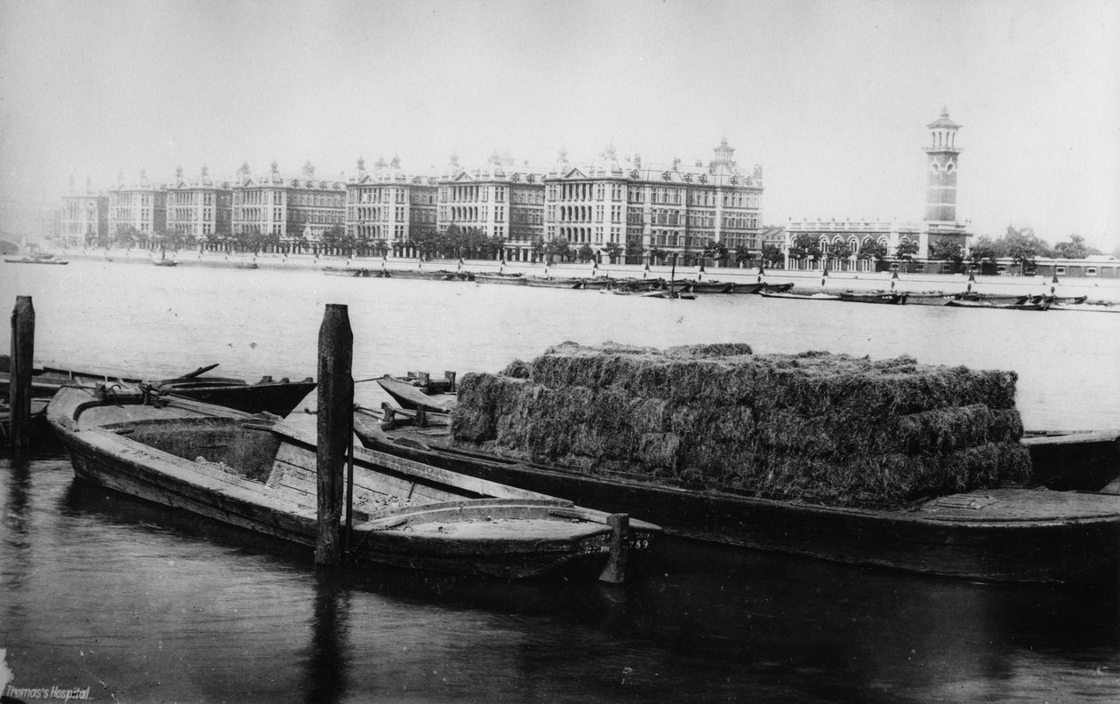 St Thomas Hospital, Albert Embankment, sent c19 af English Photographer