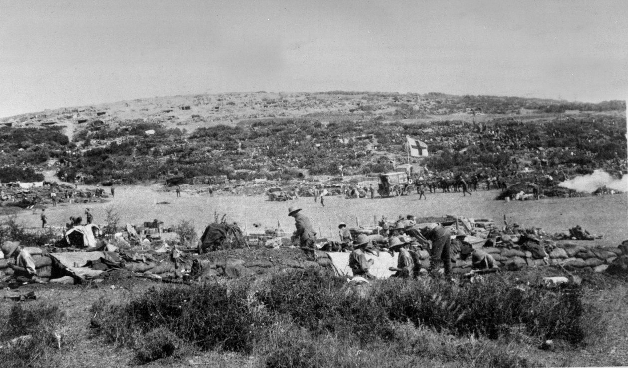 Suvla-bugten, Gallipoli ved Chocolate Hill, ca. 1915 af English Photographer