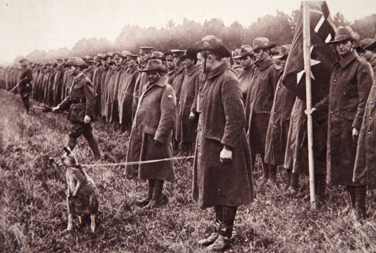 Anzac-anmeldelsen på Salisbury Plain: en australsk maskot, illustration fra The Illustrated War News, 27. september 1916 (sepia-foto) af English Photographer