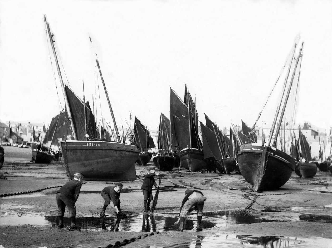 Fiskerflåden i St Ives Havn, ca. 1880-99 af English Photographer
