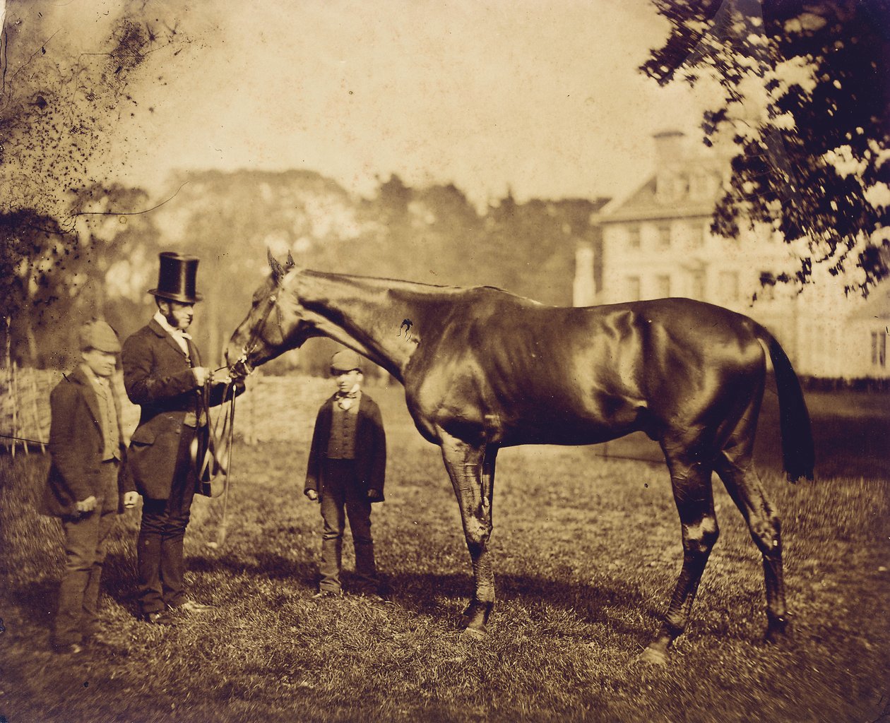 Wild Dayrell, vinder af Derbyet i 1856 af English Photographer