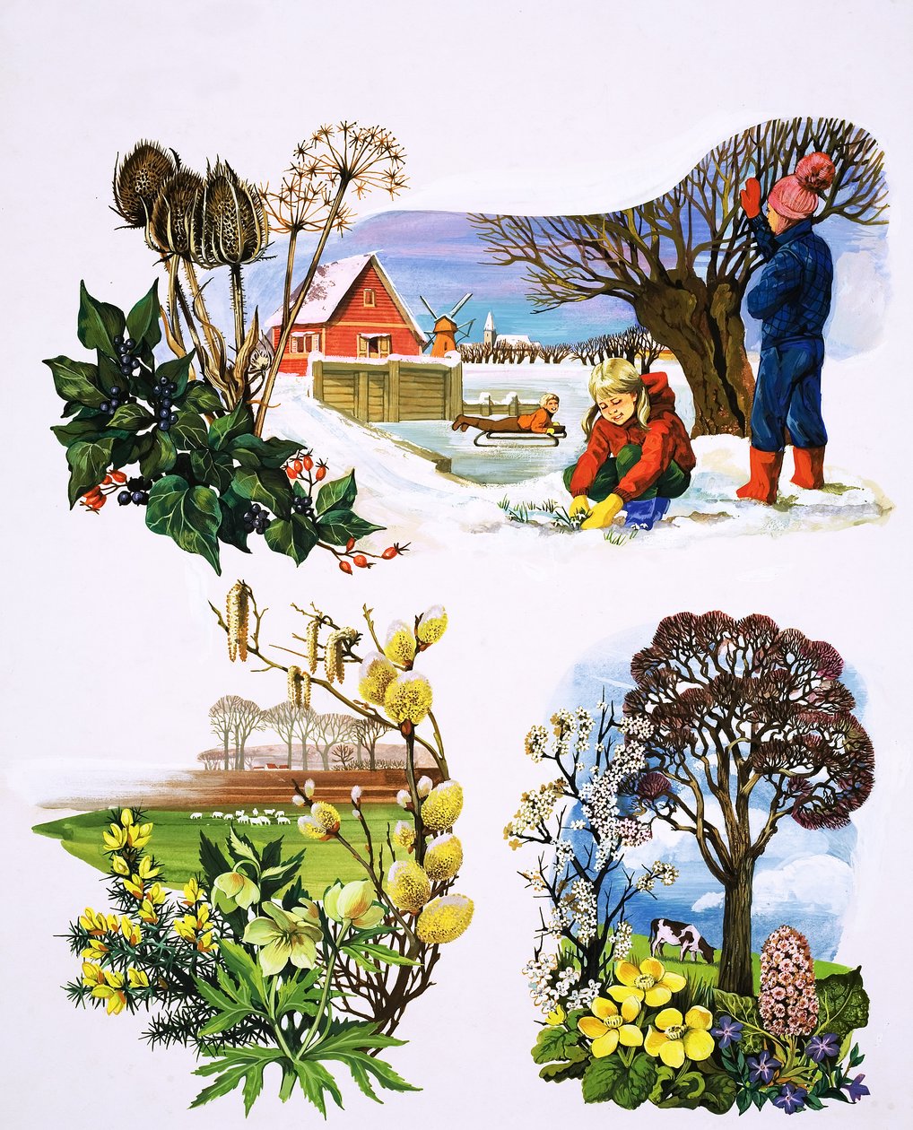 En kalender med planter, illustration fra 
