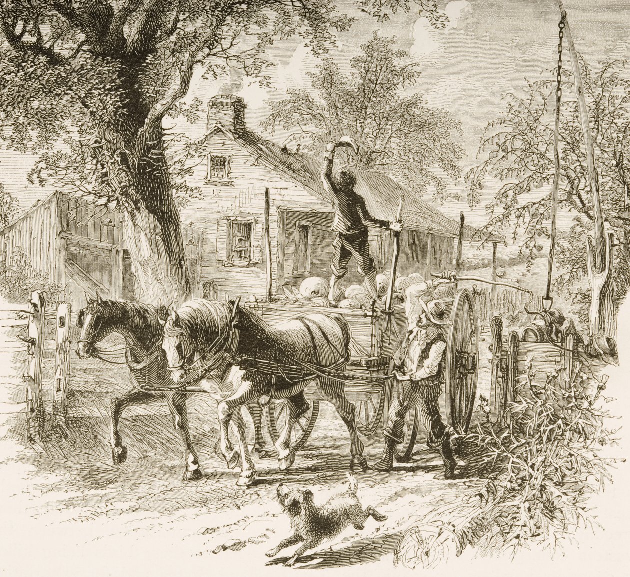 A Homestead in Kansas, fra 