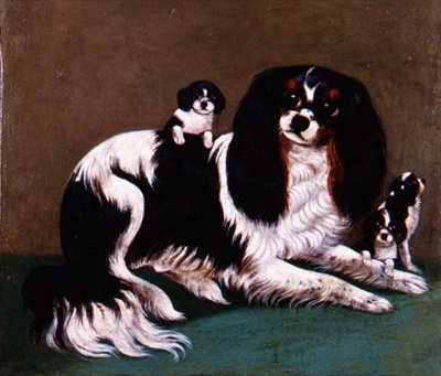 En King Charles Spaniel-familie, Provincial School af English School