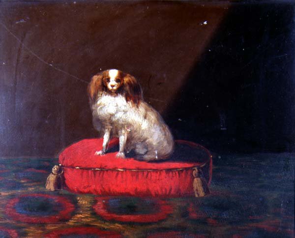 En King Charles Spaniel på en rød pude, Provincial School af English School
