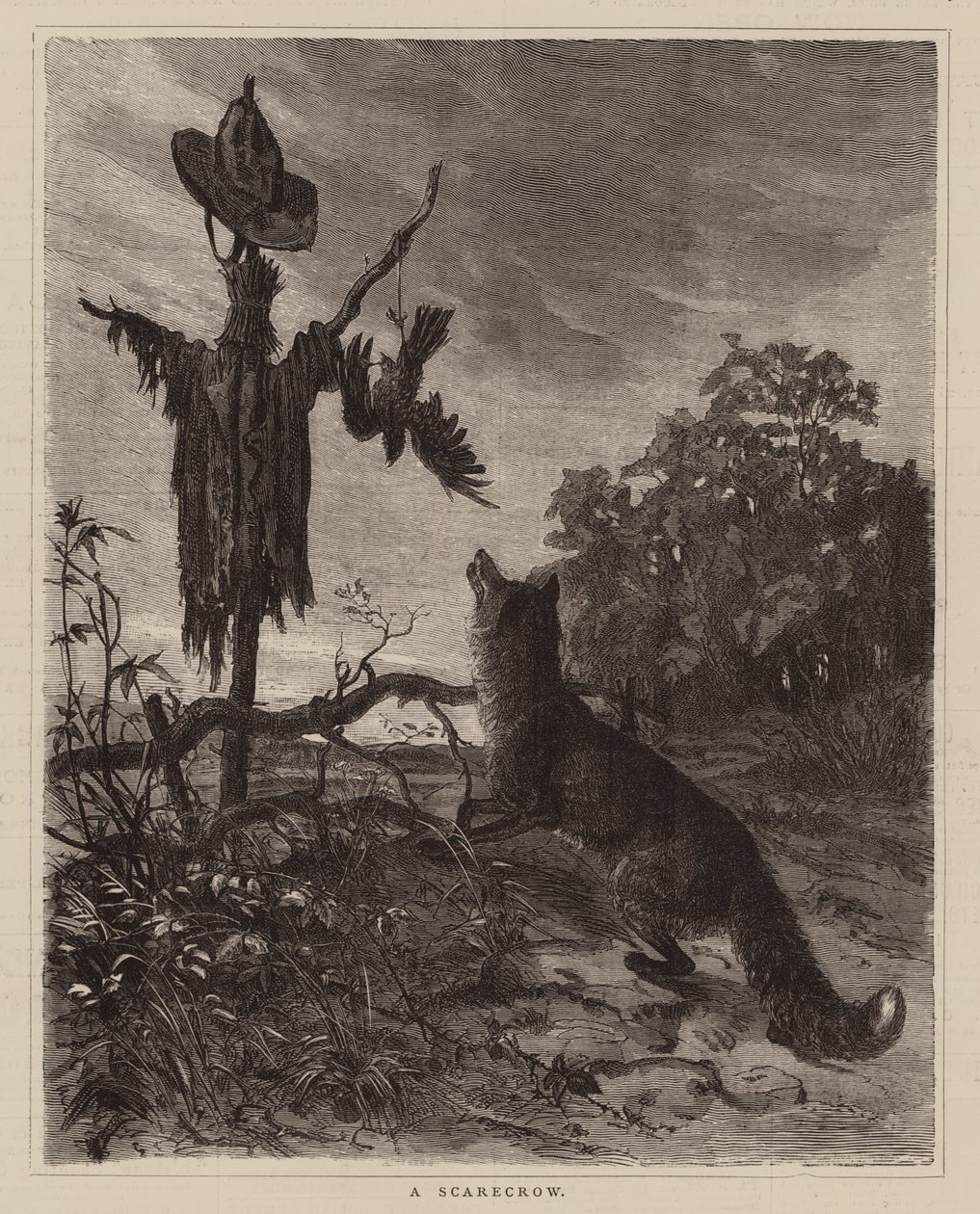 Et fugleskræmsel (kobberstik) af English School