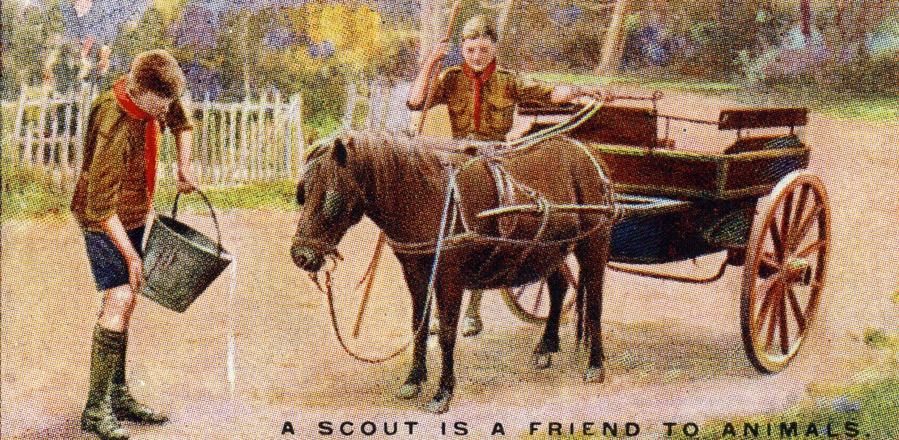 En spejder er en ven for dyr, 1929 af English School
