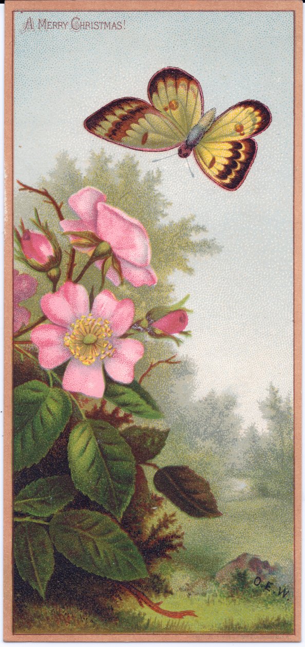 Et victoriansk julekort, der forestiller en sommerfugl og en busk af hunderoser, ca. 1880 af English School