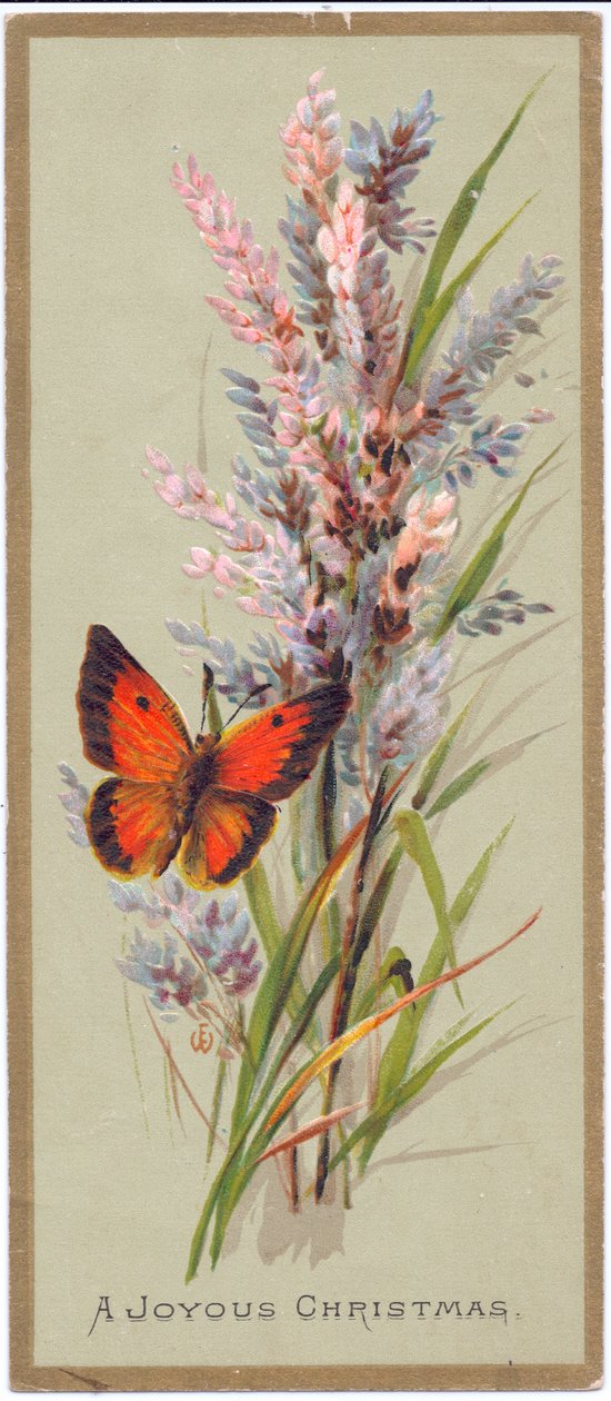 Et victoriansk julekort af en sommerfugl blandt høje græsser, ca. 1880 af English School
