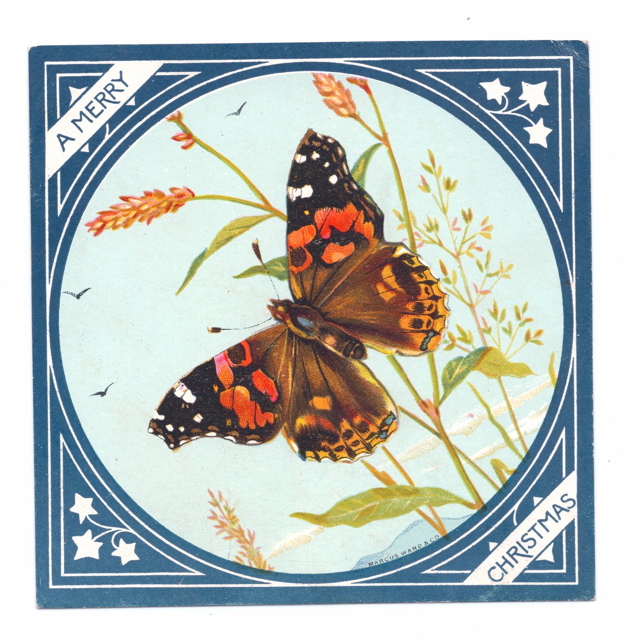 Et victoriansk julekort med en malet sommerfugledame, ca. 1880 (farvelitografi) af English School