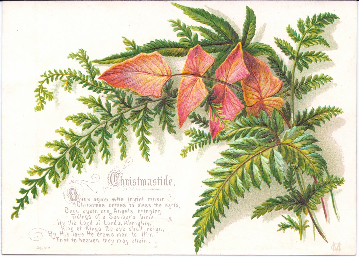 A Victorian Christmas card of with a spray of ferns, c.1880dani af English School