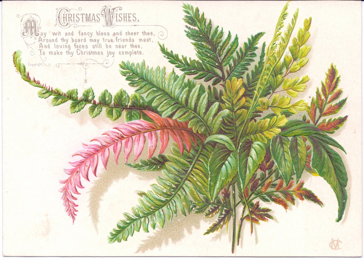 A Victorian Christmas card with a spray of ferns, c.1880dani af English School