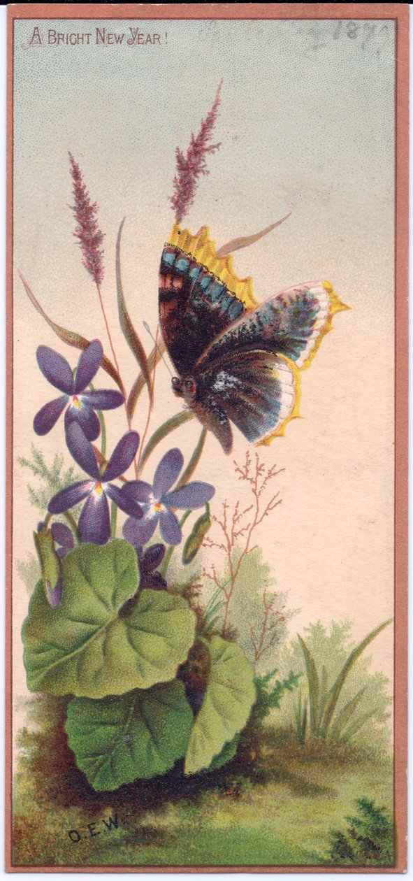 A Victorian New Year card of violets and a butterfly, c.1880dani af English School