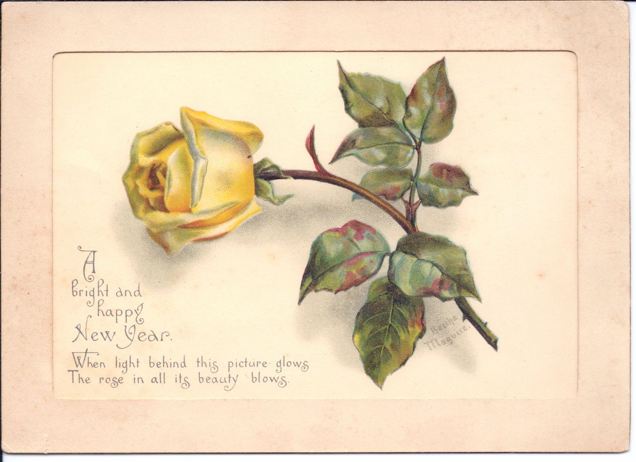 Et victoriansk hold-til-lys nytårskort af en gul rose. Når kortet holdes foran en lyskilde, bliver rosenknoppen til et fuldt flor, omkring 1898 af English School