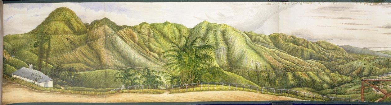 A View Towards Kingston fra Military Sanatorium i Newcastle, Blue Mountains, Jamaica, 1855 (wc og gouache på papir lagt på lærred) af English School